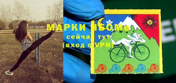 прущий лед Лагань