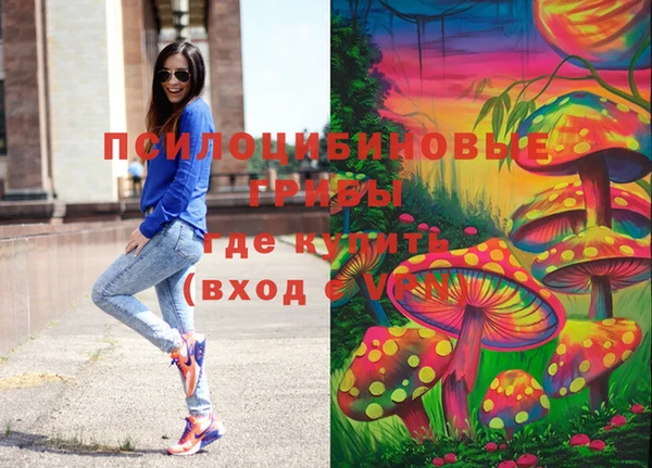 сатива Гусиноозёрск