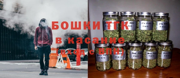 сатива Гусиноозёрск
